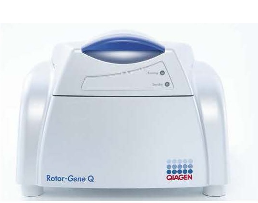 Rotor-Gene Q     QIAGEN